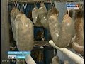 В Батыревском районе открылся первый мясоперерабатывающий цех