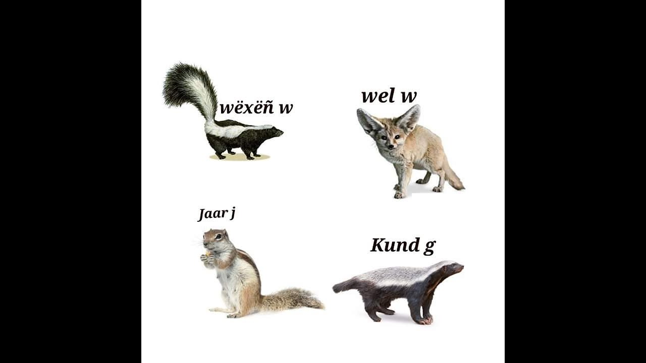 LES BIENFAITS DES ANIMEAUX PAR ELHADJI MALICK GUEYE