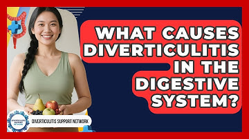 What Causes Diverticulitis in the Digestive System? | Diverticulitis Support Network News