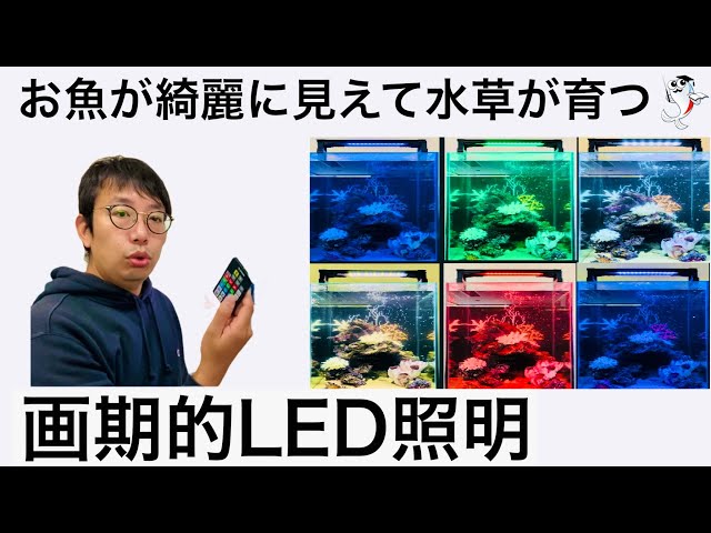 最大10万通り!!】簡単に自分の水槽に合う
