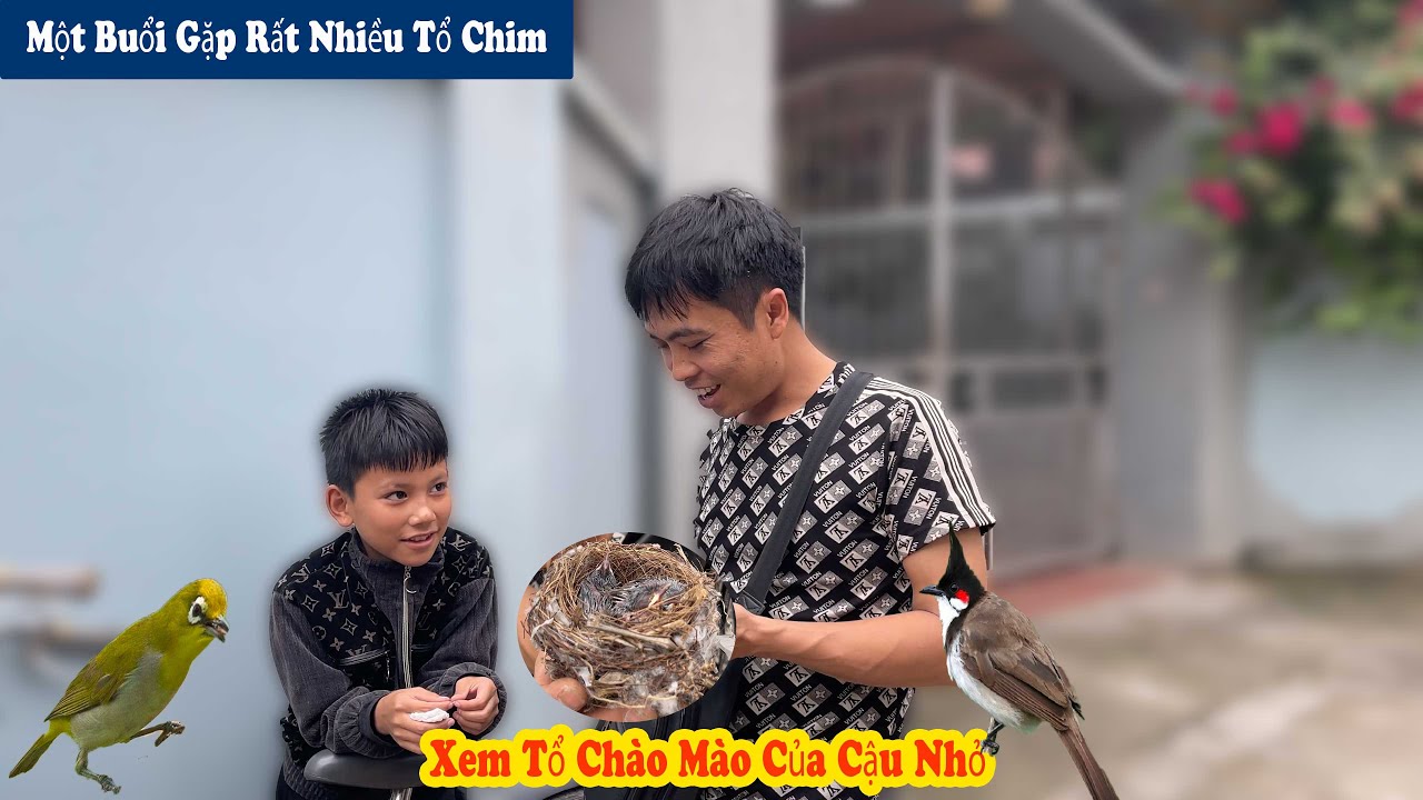 Phát Hiện Rất Nhiều Tổ Chim Và Xem Tổ Chim Của Hai Cháu Mới Bắt // Chiến Ơi