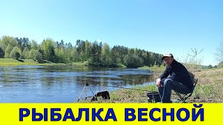 ПЕРВАЯ РЫБАЛКА С ЖЕНОЙ С НОЧЁВКОЙ! ФИДЕР И УДОЧКА. Отдых на природе с палаткой