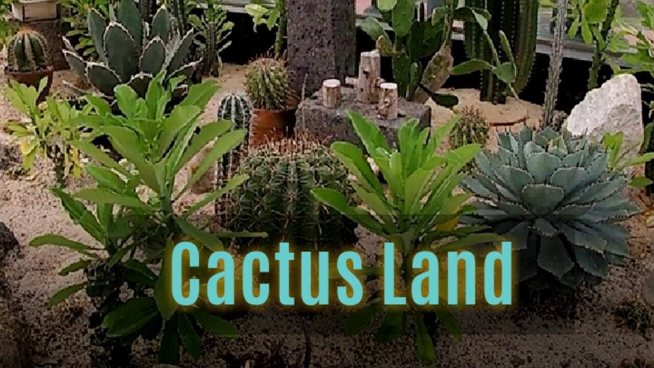 Cactus Land Inside The Garden Philippine Arena Ciudad de Victoria