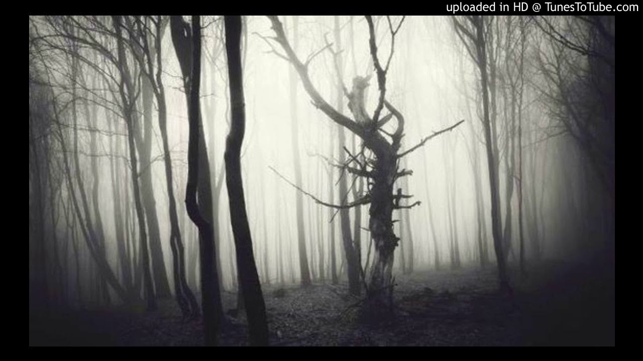 Young wall$ - So lit