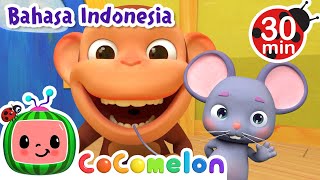Joget Kepala Pundak Lutut Kaki | CoComelon Bahasa Indonesia - Lagu Anak Anak | Nursery Rhymes