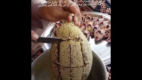 آيات من سورة النحل بصوت الشيخ ماهر المعيقلي .