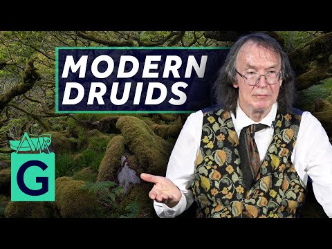 Modern Druids -