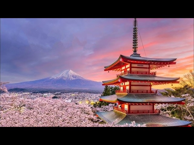 Japan! Cruise MSC Bellissima Day 2🔸Part 1🔸At Sea