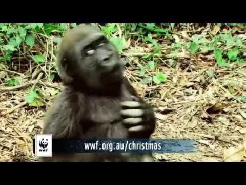 WWF Christmas adoption