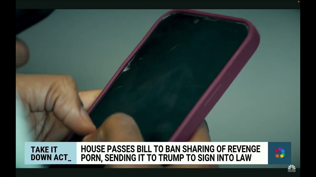 Mark Weinstein on NBC News Now