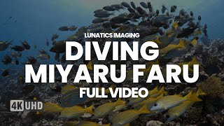 Miyaru Faru | Diving Maafushi Maldives 2023 | Sony FX3 Underwater 4K | Relaxing Underwater Video