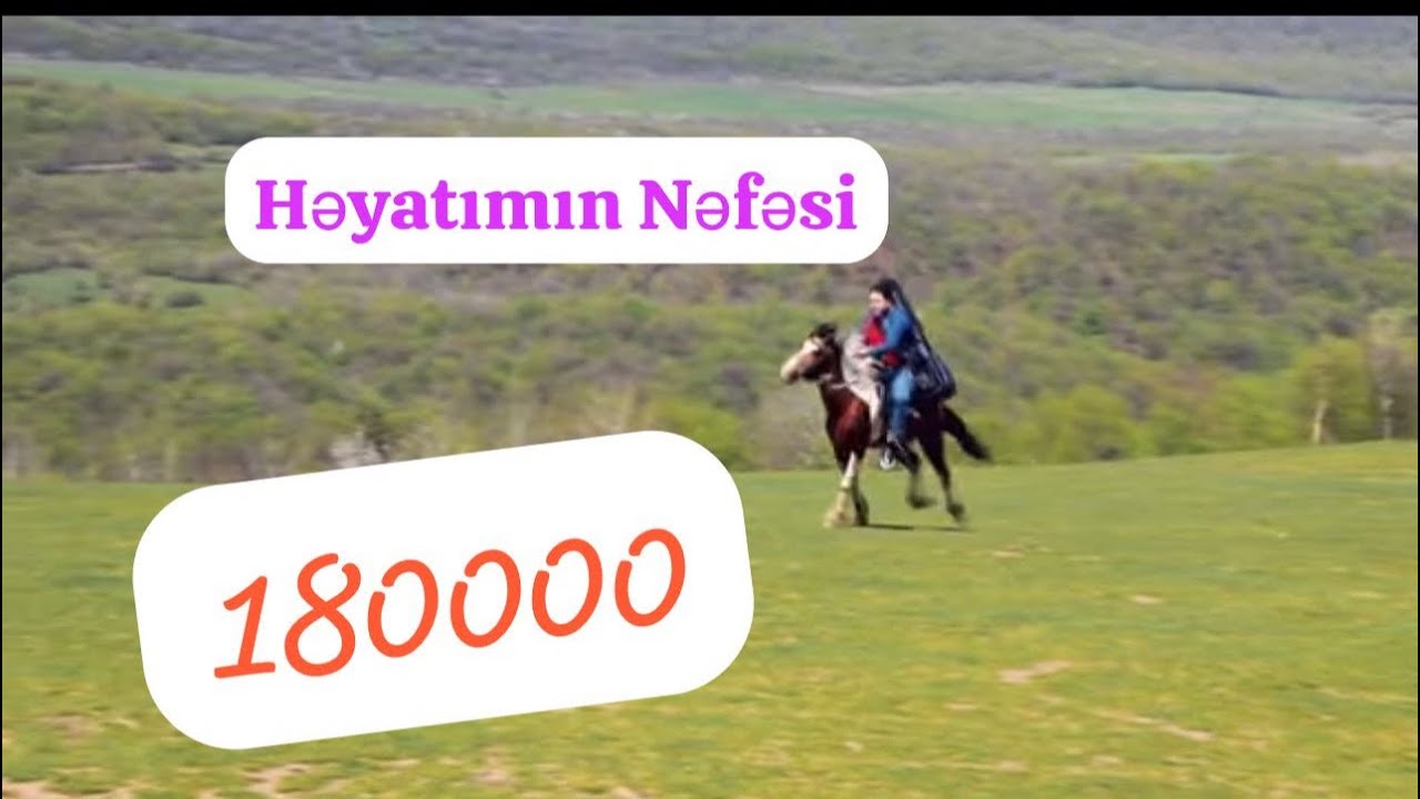 Ferhad Tufan Heyatimin Nefesi   2023 yeni trend Qardaslar ansambli  sazda ifa