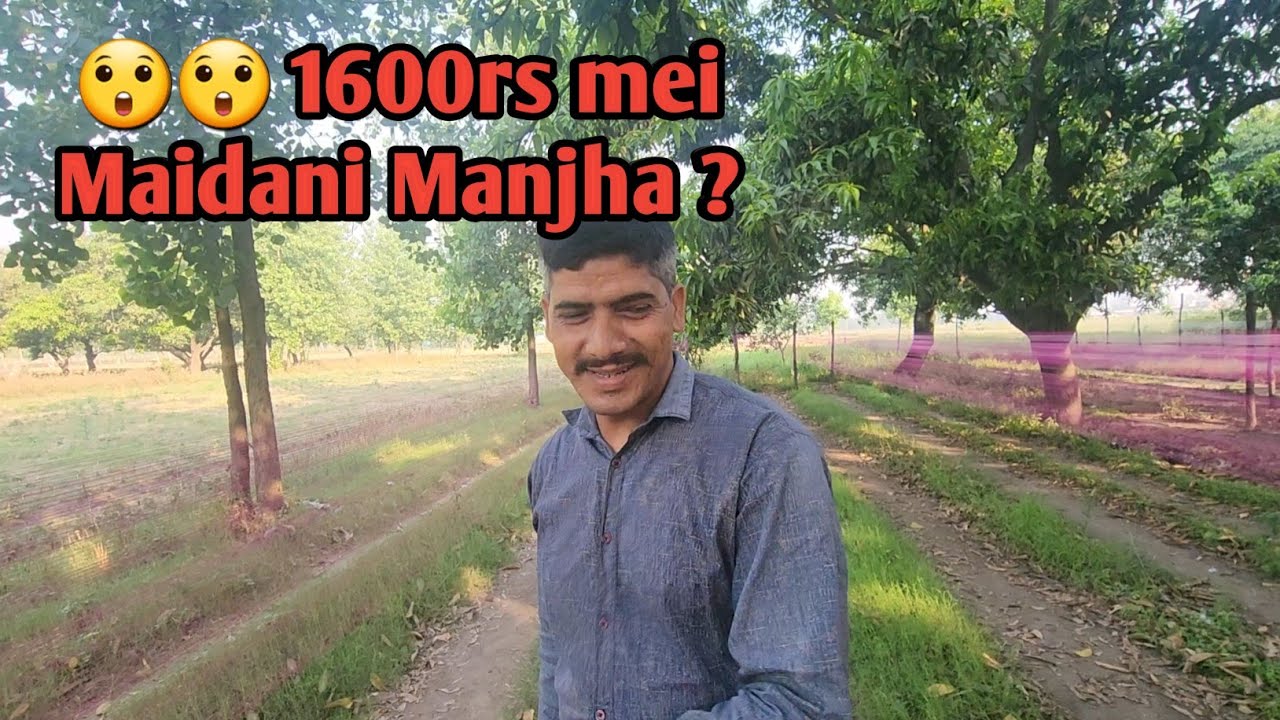 1600 2000 Ki Range Wale Quality Manjha Part 1 YouTube 1600-2000-ki-range-wale-quality-manjha-part-1-youtube