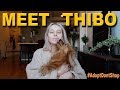 A Day In The Life Of Thibo 🐕 | Evelina Forsell