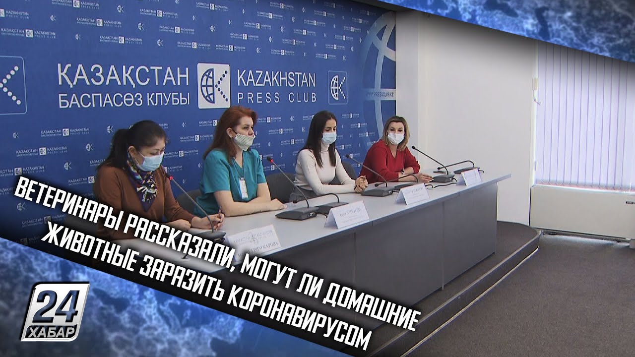 Ветеринары рассказали, могут ли домашние животные заразить коронавирусом