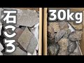 福袋で石ころを30キロ買いました【アカザ】