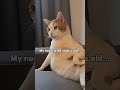 hahahahaha fact #meme #funny #viral #cat