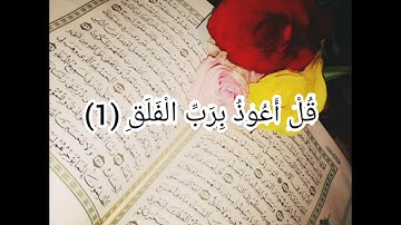 حلات واتساب انستقرام #مصممة_الدين ماهر المعيقلي سوره الفلق بصوت جميل 🌹💜