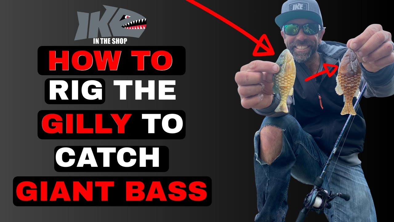 How to Rig the Gilly to Catch Giant Bass! 