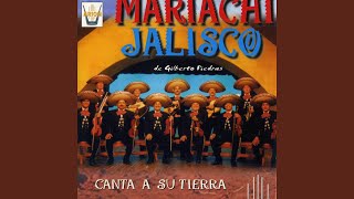 Video thumbnail of "Mariachi Jalisco - El Andariego"