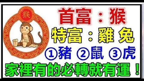 12月：你家里有生肖【猴鸡兔猪鼠虎】吗？家里有的就有运! | 星座生肖 - 天天要闻