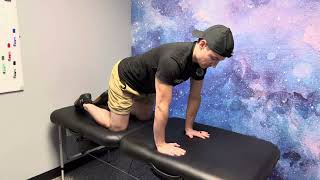 Quadruped Weight Shifts