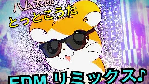 はむたろ あか あお きろ すべりだい