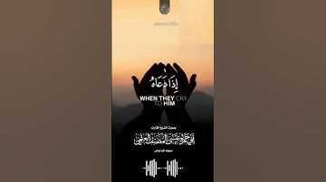 أمن يجيب المضطر إذا دعاه أرح سمعك و قلبك بتلاوة من سورة النمل للشيخ أبي حمزة عيسى المصنف حفظه الله