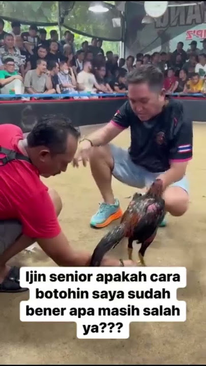 Cara mandiin ayam ala radox farm #ayam #ayambangkok