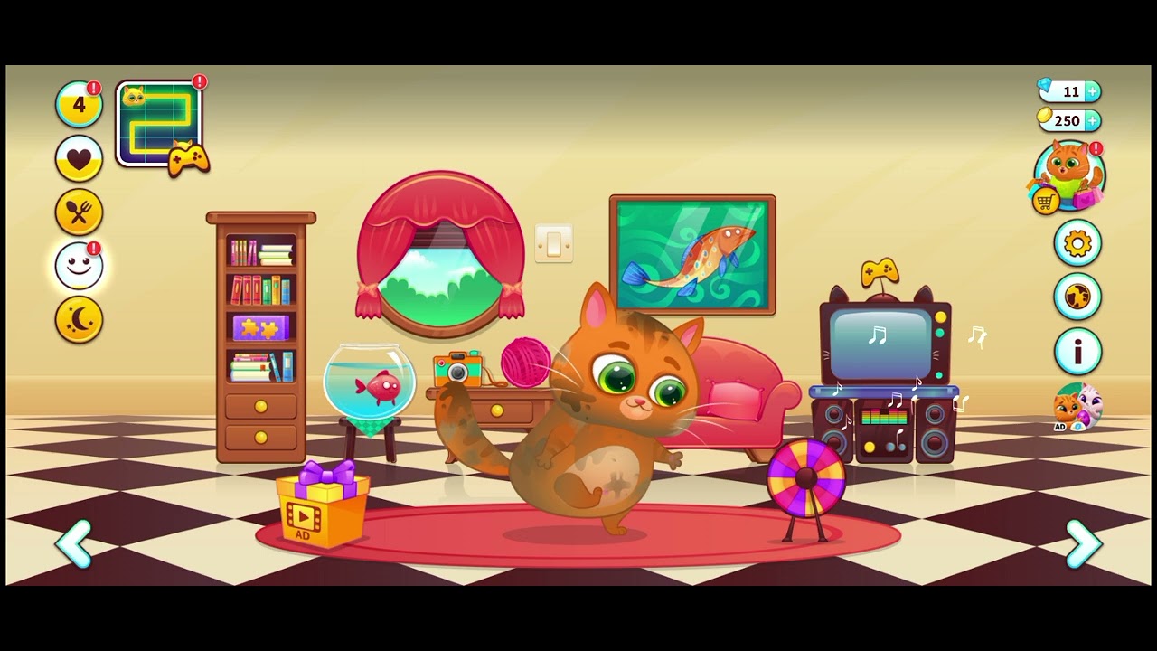 How do I take care of the cat 