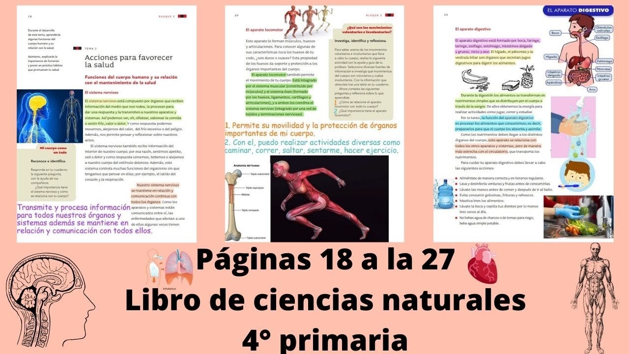 Libro Ciencias Naturales Cuarto Grado Primaria www.youtube.com