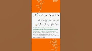 سوره بقره آیه 38🧡#تلاوت #لایک #اشتراک_گذاری #اشتراک 🤍