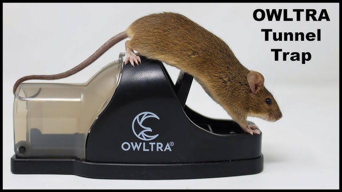OWLTRA Indoor Electric Mouse Trap Review - Does It Really Work