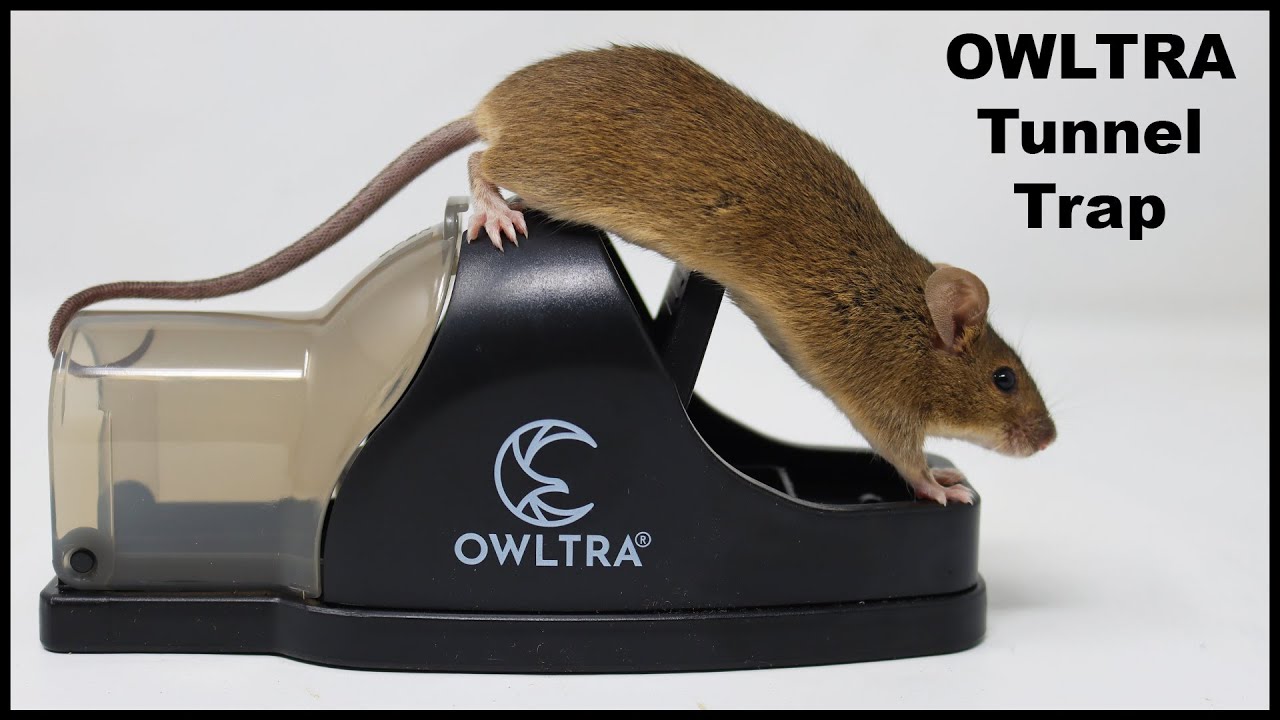 OWLTRA OW-2 Indoor Electric Mouse Trap Instant Kill Rodent Zapper