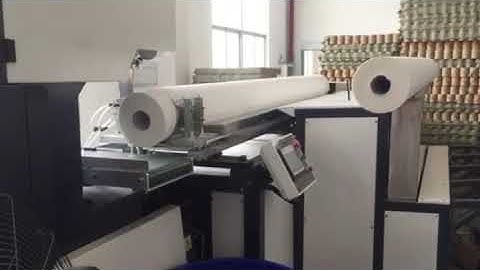 Automatic Maxi Roll Bandsaw Cutting Machine