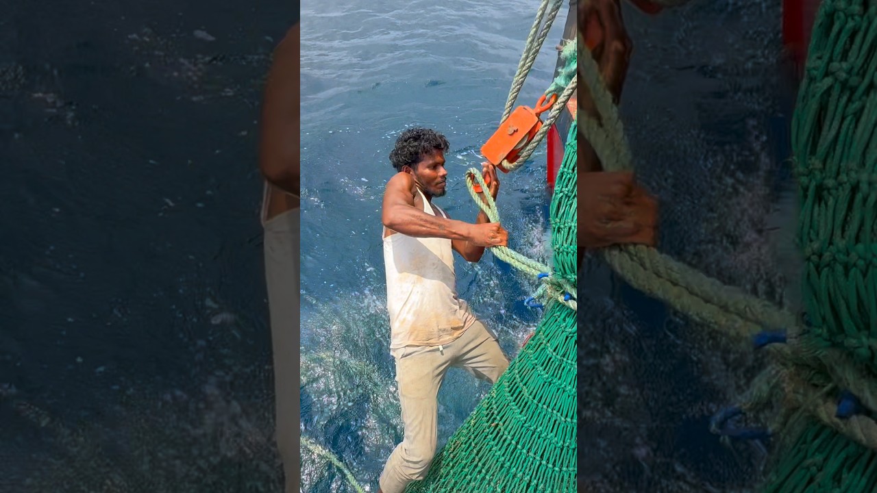 #fisherman  #fishing