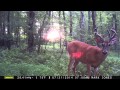 Bow hunting whitetail in baltimore county maryland