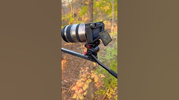 My Self Filming setup for deer hunting! #shorts #hunting #subscribe