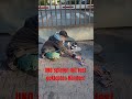 UNO spielen mit fest geklebten Händen! PAG Rheinmetall #protest #politik #polizei #palästina #gaza