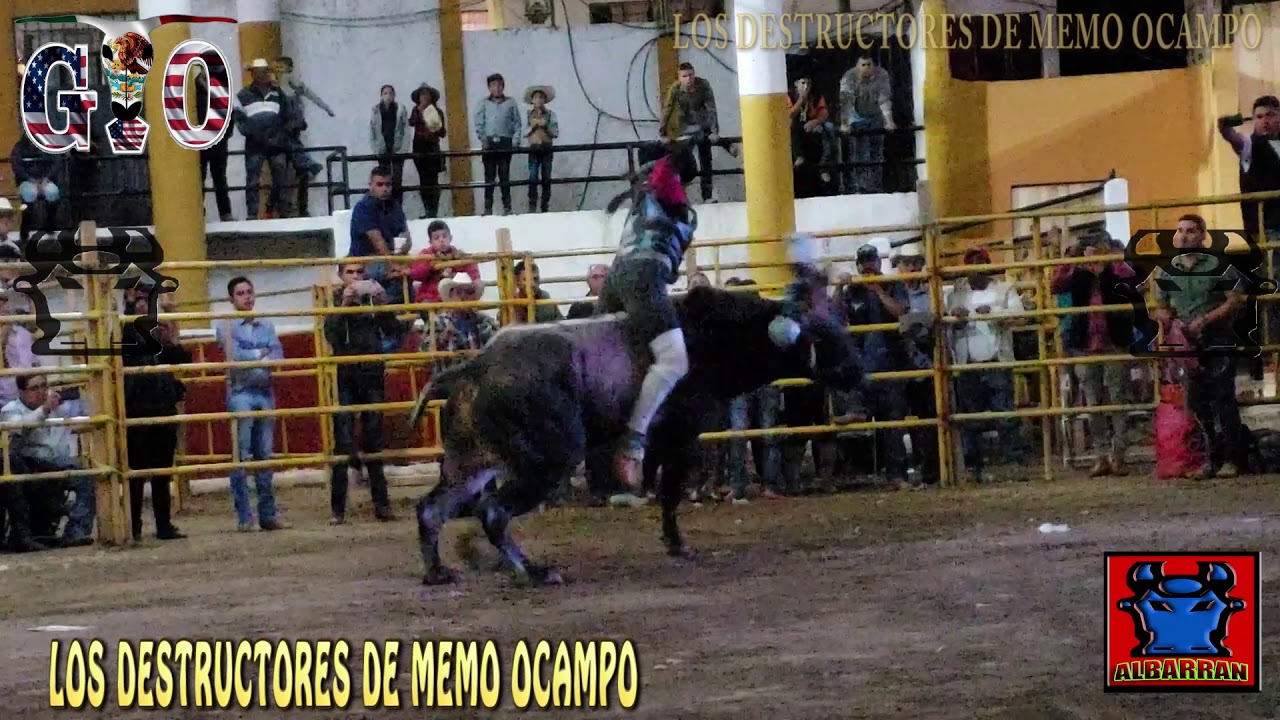 DUENDECILLO  CON AGUILA DE COCOYOC EN AMATEPEC ESTADO DE MEXICO 2019