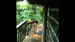 Windy weather at The Village in Pohnpei