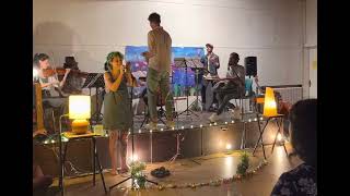 All I Want - Kodaline (string quartet + handpan)