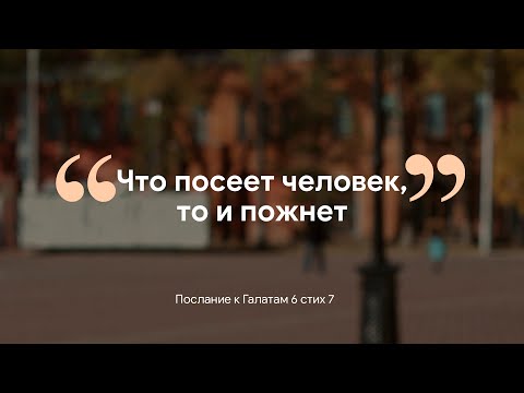 Ролик на праздник