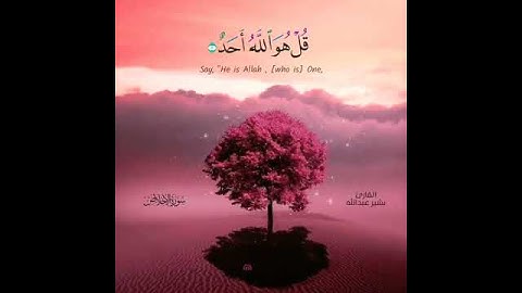 حالات واتس اب دينيه (سوره الإخلاص)♥️🥀أرح مسمعك😞