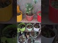 #firstminivlog#study#motivation#inspireandgrowmithme#mahilasupervisorexam#yyoutubeshorts