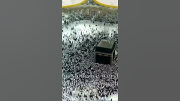 سورة الفاتحة بصوت الشيخ ماهر المعيقلي.. تلاوة خاشعة من الحرم المكي