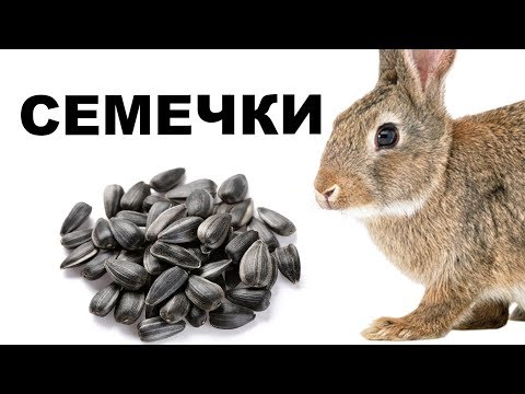 Video: Gleivės šlapime: Kas Tai Lemia?