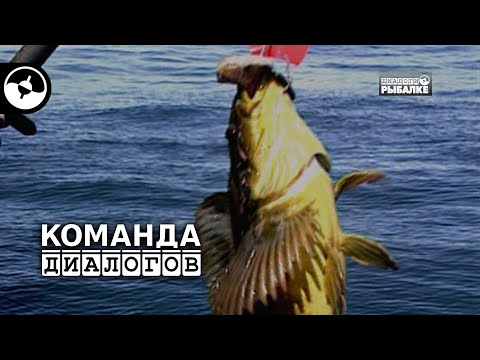 Камчатка. Море. Ленок | Классика