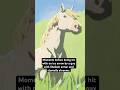 Got an item song should play after getting the white horse in Breath of the Wild (Made with AI)