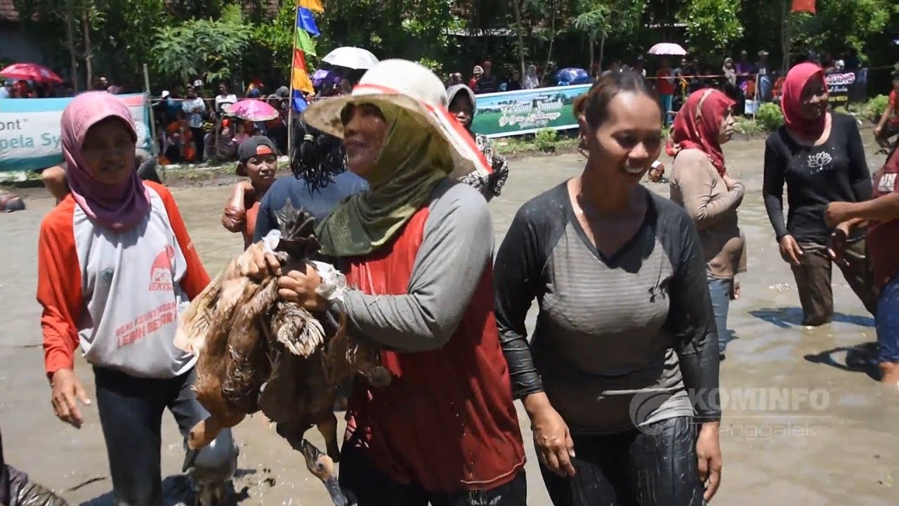 Emak-emak Tangkap Bebek Meriahkan Festival Sawah Trengalek 2020 